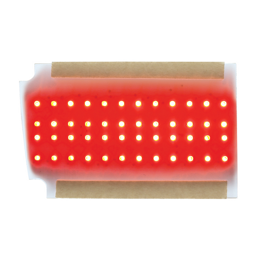 LED Sequential Tail Light Insert Board For 1970 Chevy Chevelle - L/H