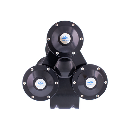 Black 3 Trumpets Train Horn