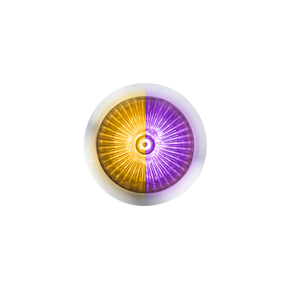Double Fury 4 LED Dual Function 1-1/8" Spike Light-Amber & Purple LED