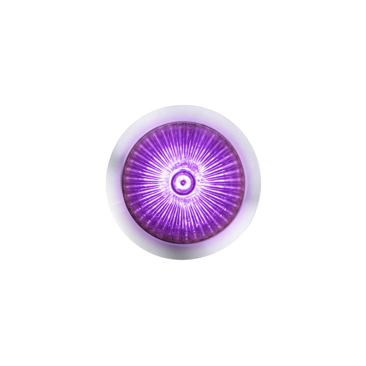 Double Fury 4 LED Dual Function 1-1/8" Spike Light-Amber & Purple LED