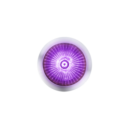 Double Fury 4 LED Dual Function 1-1/8" Spike Light-Amber & Purple LED